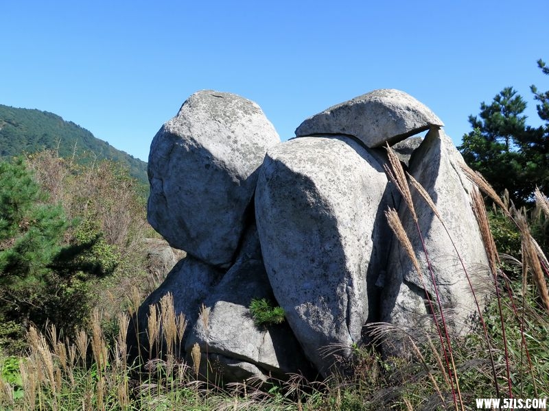 C20.JPG