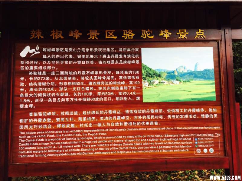 190846nhsqtwls94kt7sth.jpg