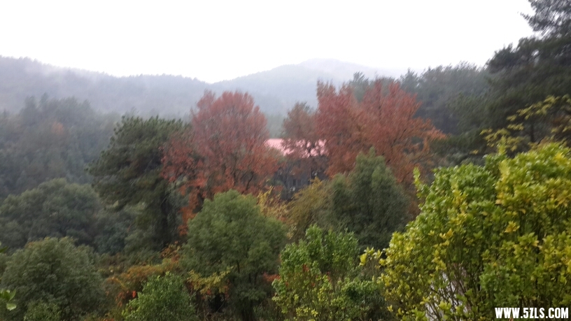 154410mzz17j5by7qy15hh.jpg