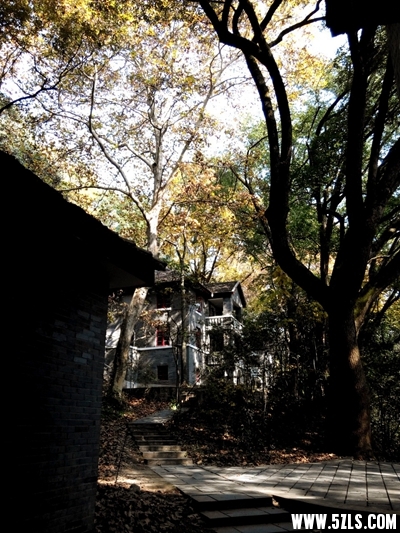 IMG_20141122_123826-1.jpg