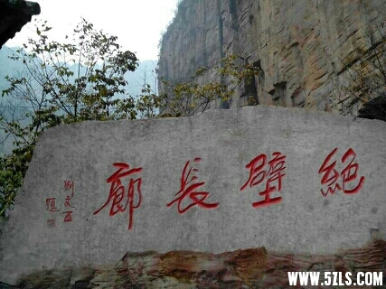 140152utbulwyuozyyccwm.jpg