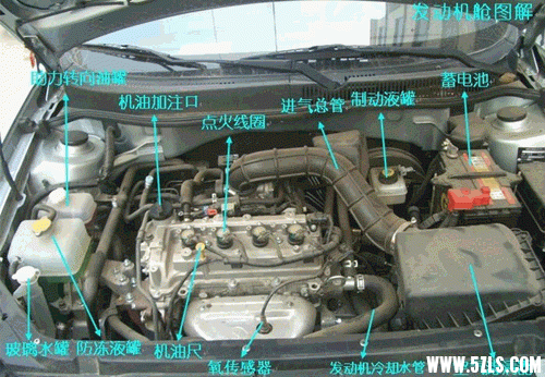 1.gif