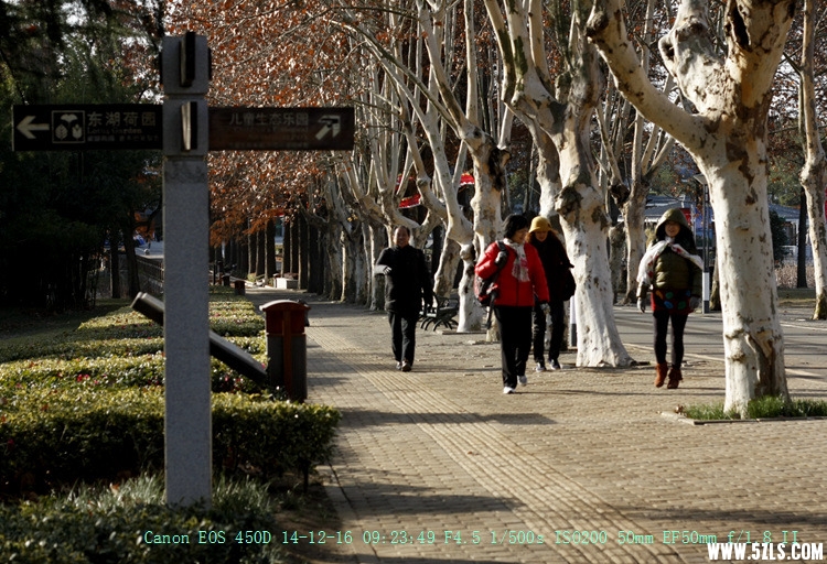 Canon EOS 450D19.jpg