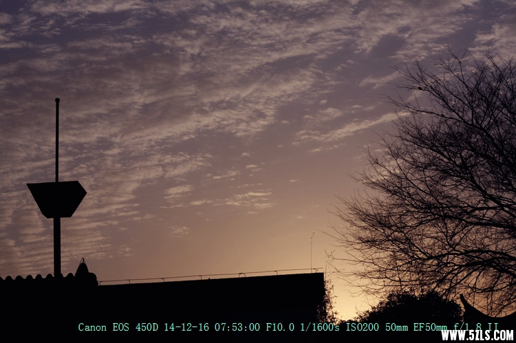 Canon EOS 450D02.jpg