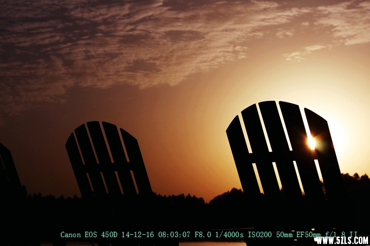 Canon EOS 450D05.jpg
