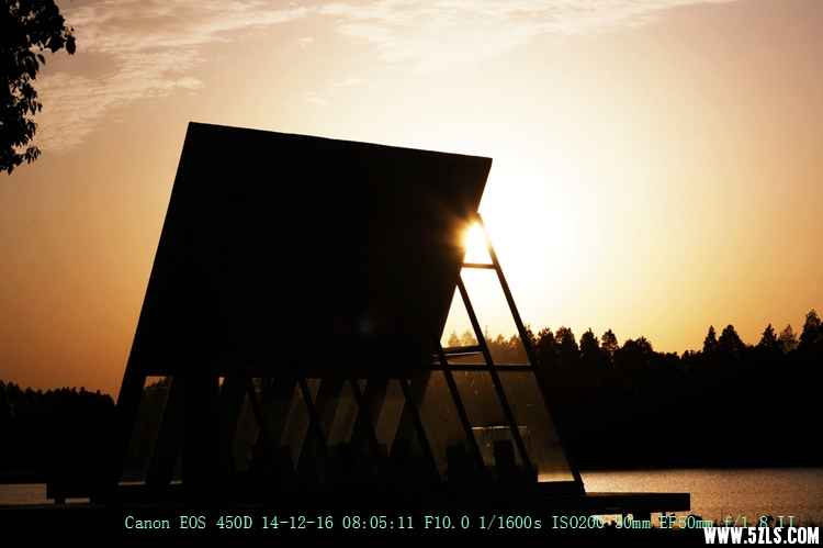 Canon EOS 450D06.jpg
