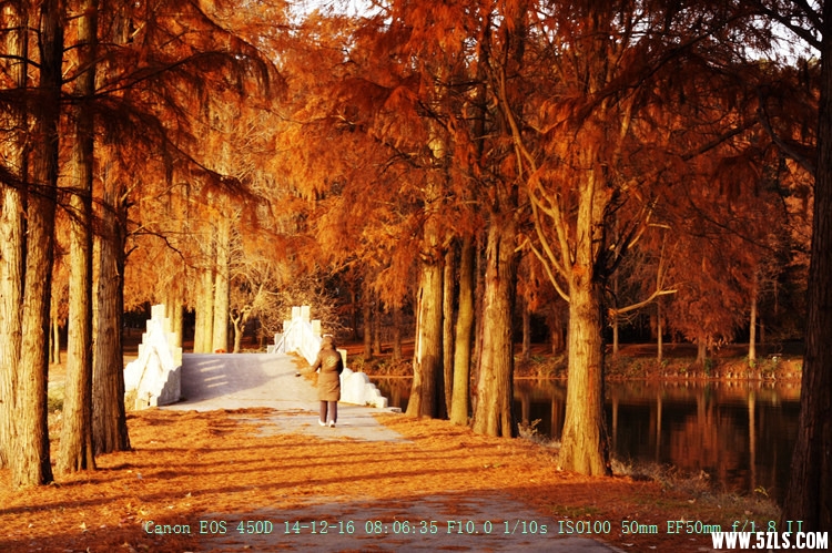 Canon EOS 450D07.jpg