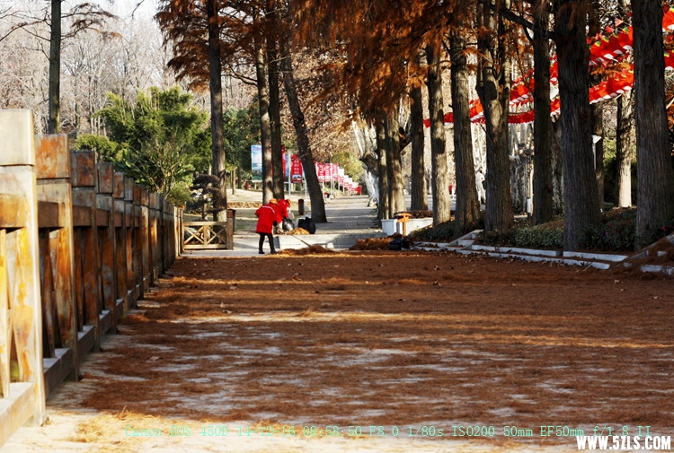 Canon EOS 450D14.jpg