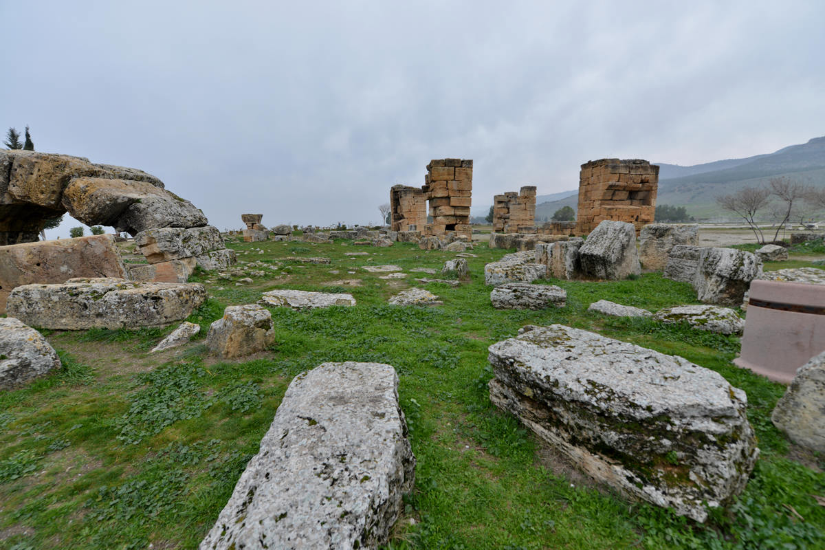 dsc_6801.jpg