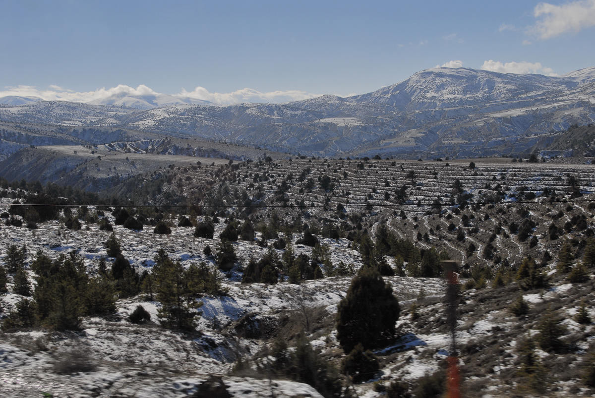 _dsc2869.jpg