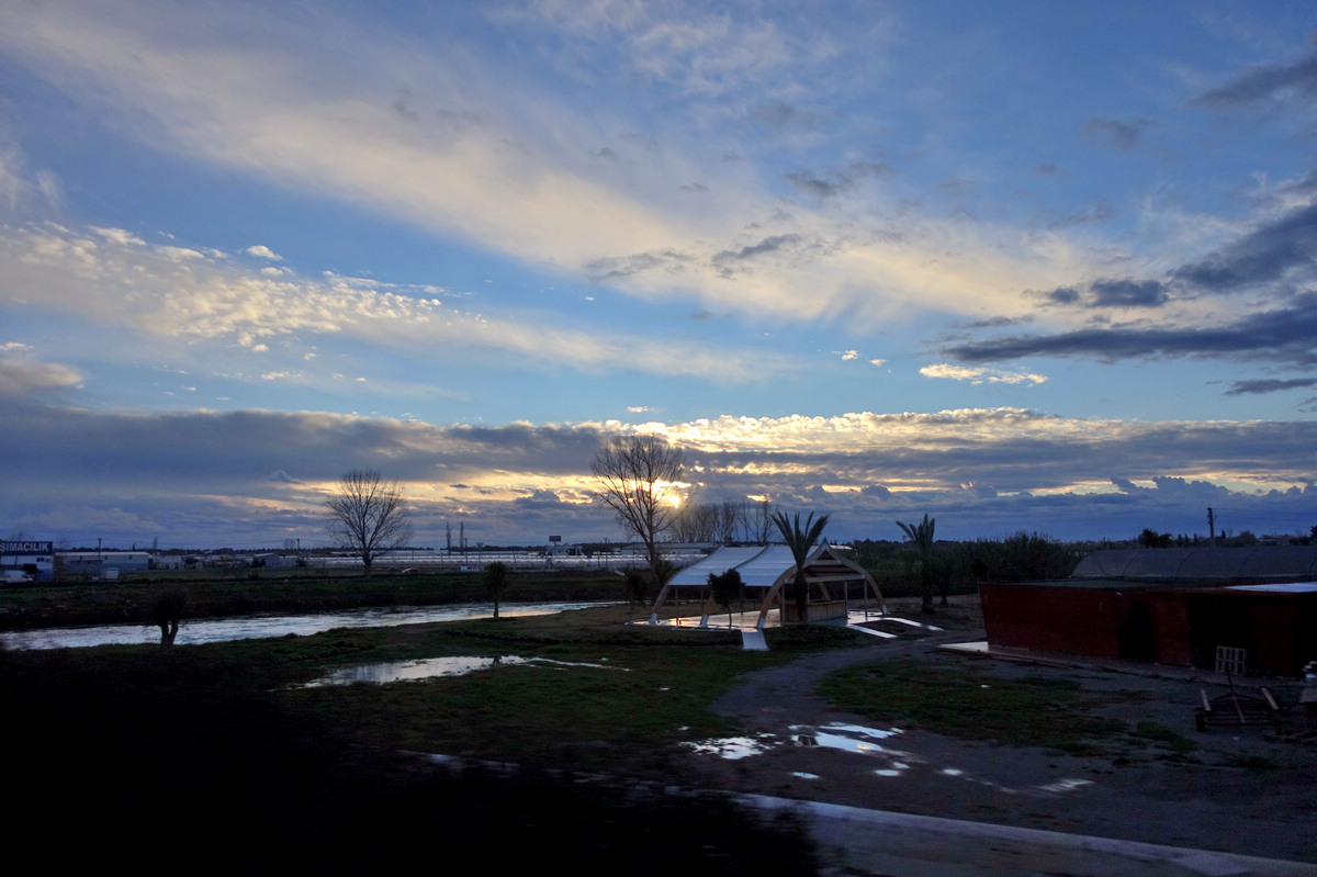 dsc01387.jpg