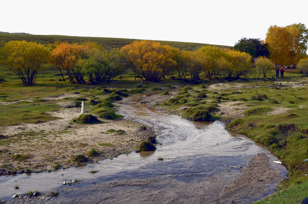 _dsc2393.jpg