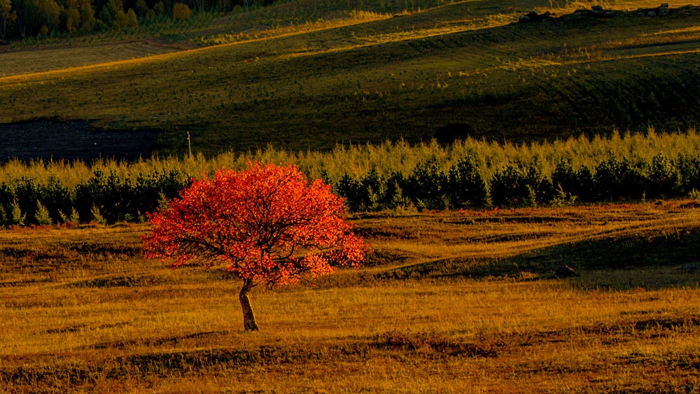 dsc_5092.jpg