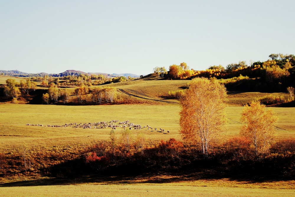 ɳ09.jpg
