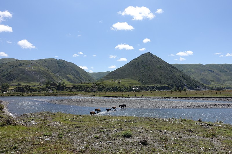 img001.jpg