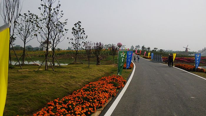 img_20151010_094004.jpg
