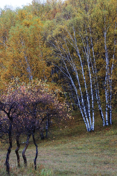 ca9a0229.jpg