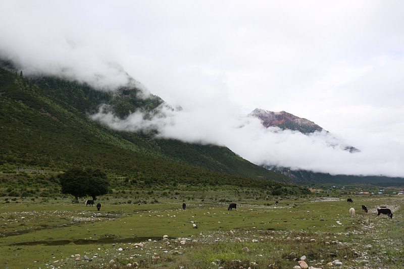 img039.jpg