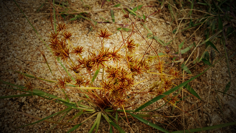 20150913_144132_����.jpg