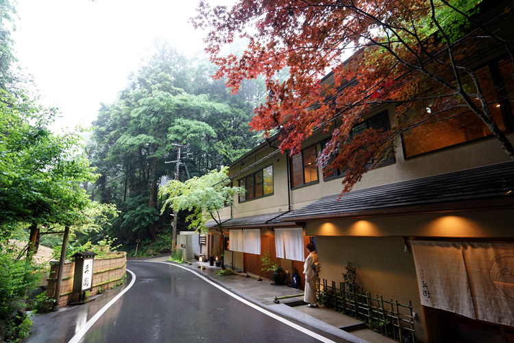 dsc09250.jpg