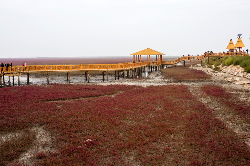 ps (19).jpg