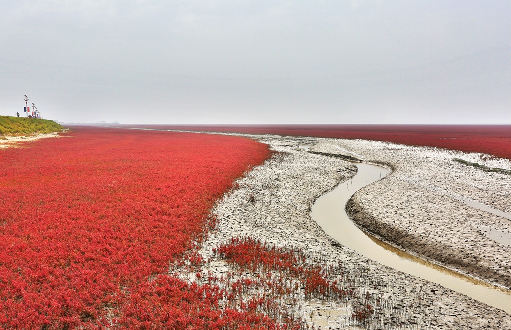 ps (22).jpg