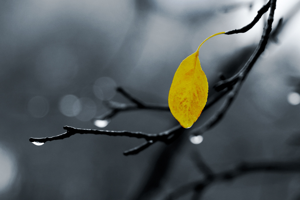 _u0b3781-4_l.jpg