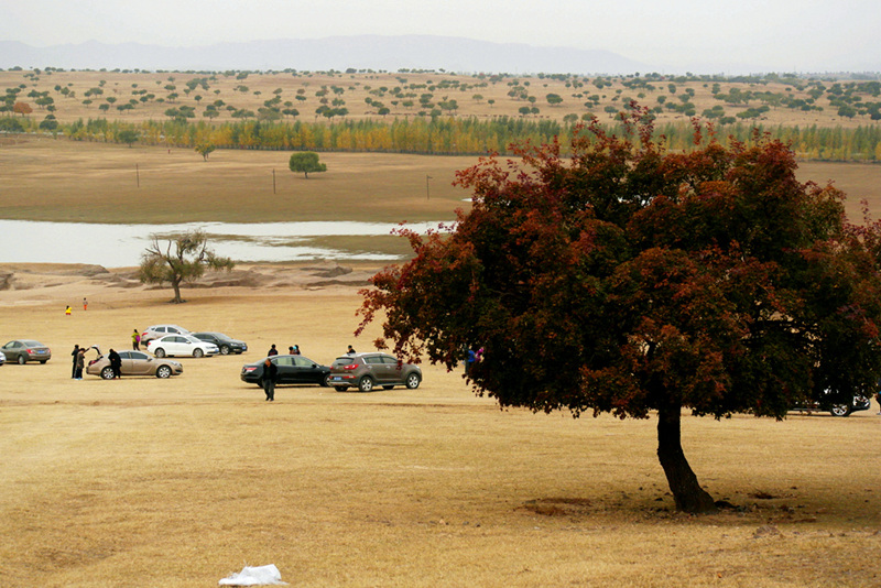 _sam0316_.jpg