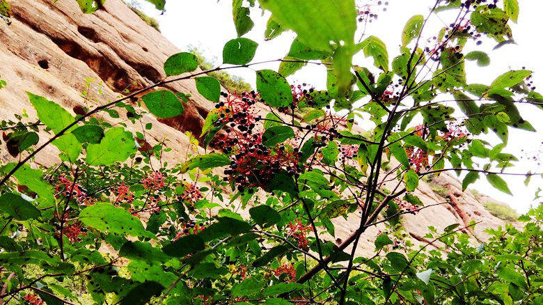 20150918_121249.jpg