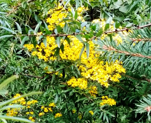 20150918_121715.jpg
