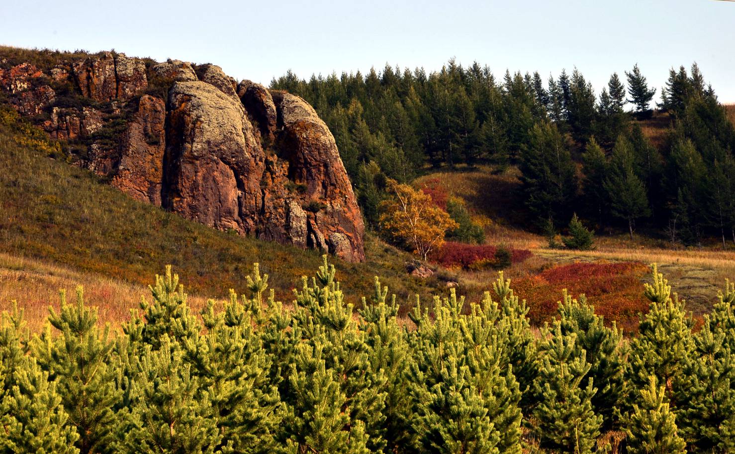 _dsc2164.jpg