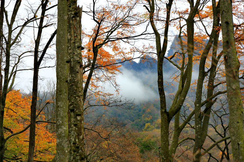 083a0110_dh.jpg