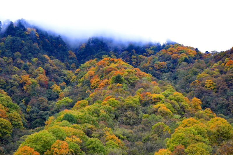 083a0212_dh.jpg