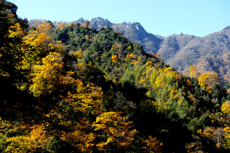 _sam2012_副本.jpg
