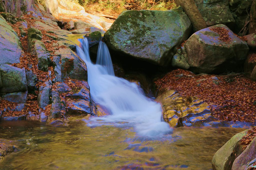 083a1242.jpg