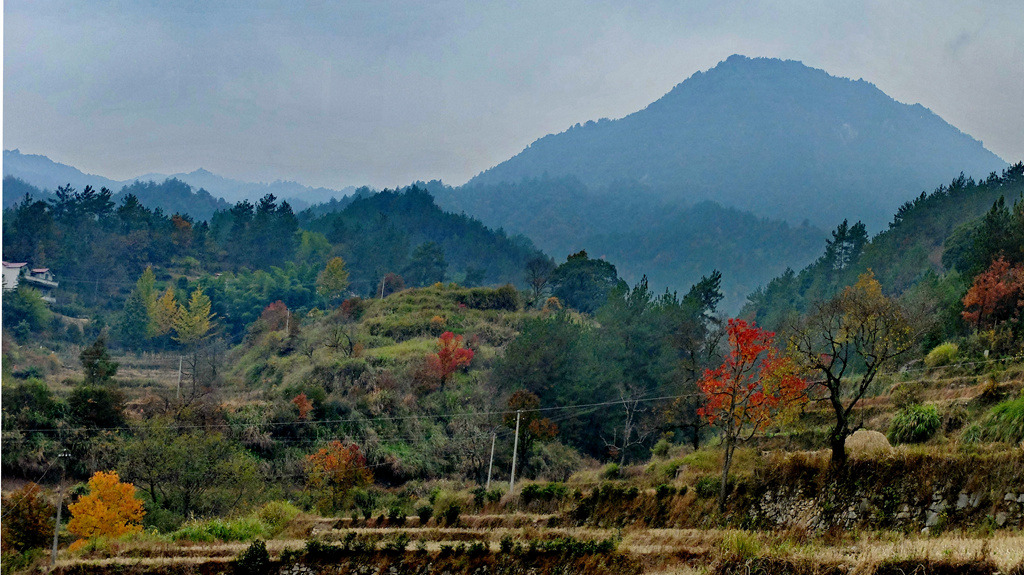 dscf2375.jpg