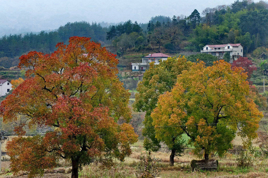 dscf2408.jpg