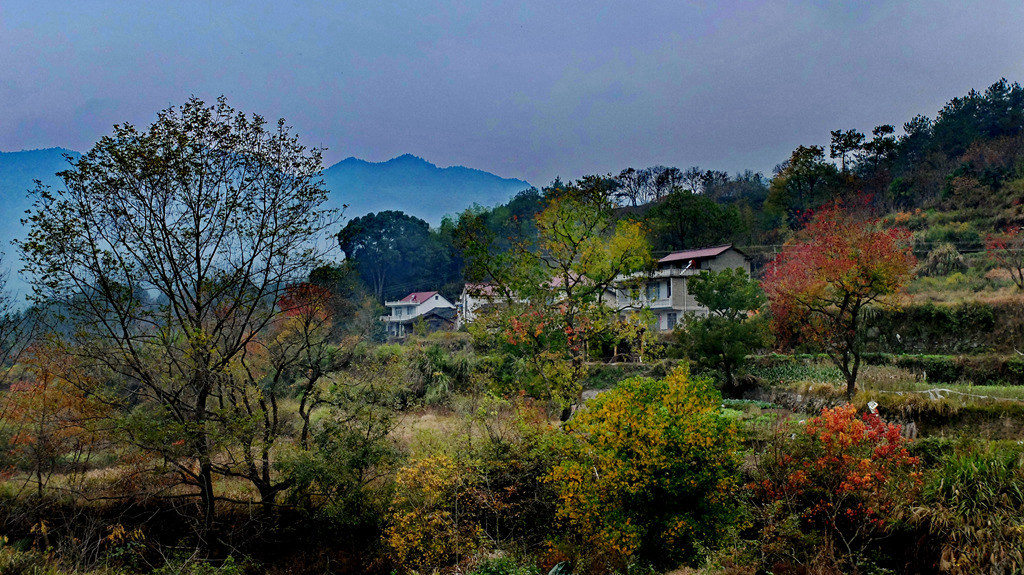 dscf2363.jpg