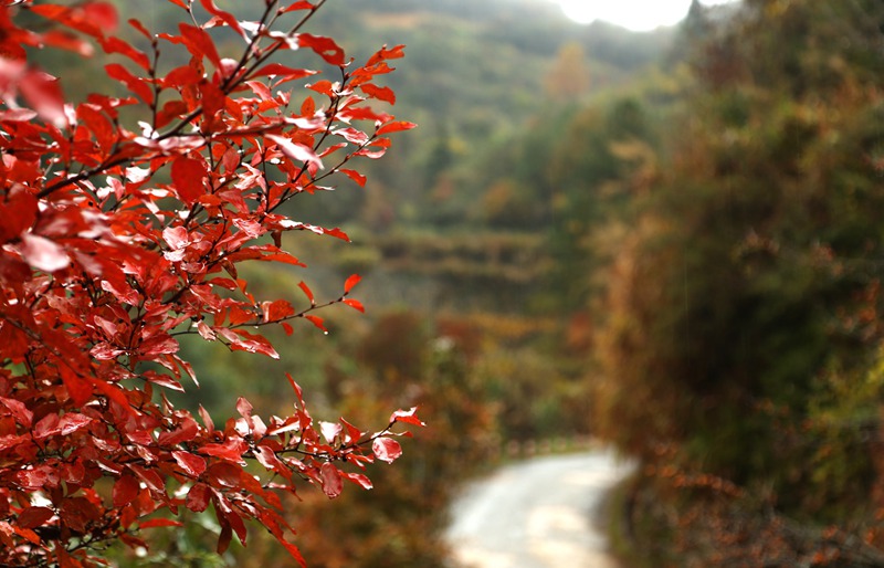 img_8811_副本_副本.jpg