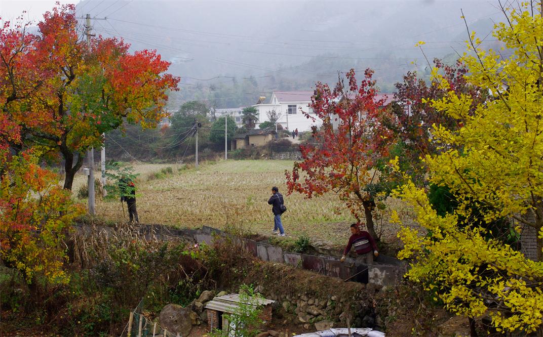 _igp3154.jpg