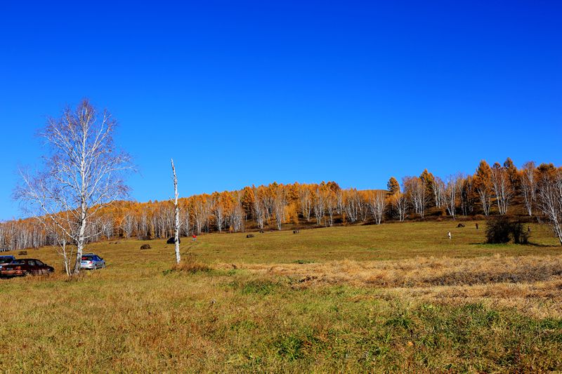 083a1277.jpg