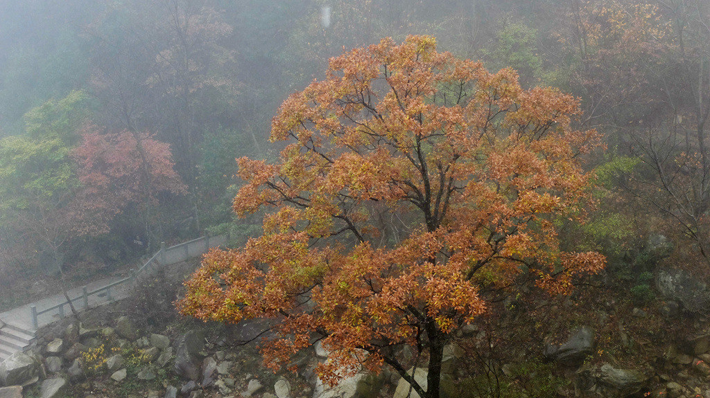 dscf2630.jpg