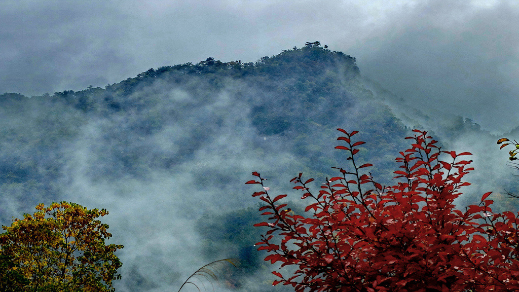 dscf2540.jpg