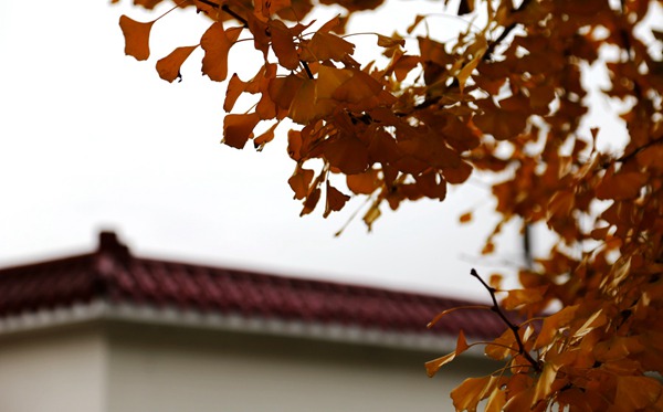 img_8901__.jpg