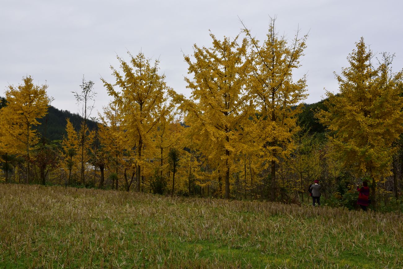 dsc_1959.jpg
