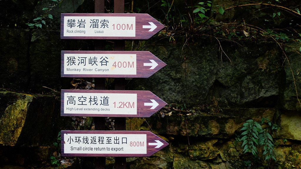 dscf2853.jpg