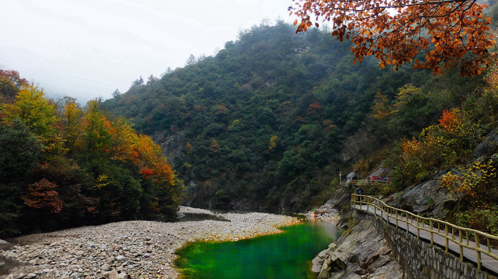 dscf2801.jpg