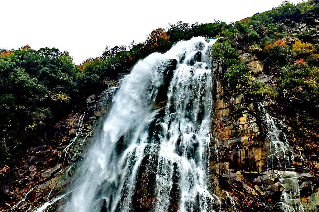 dscf2874.jpg