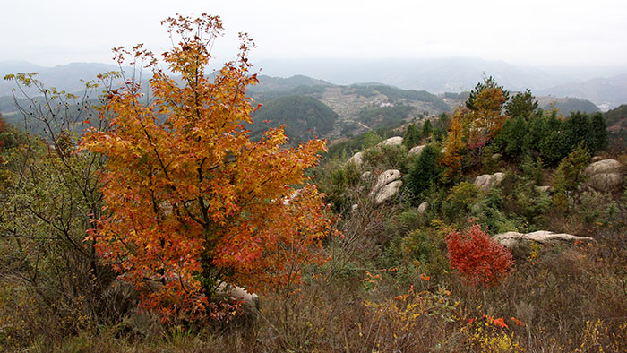 img_8893.jpg