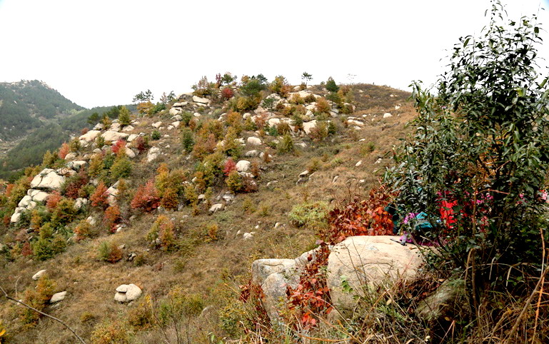 3d6a1307.jpg